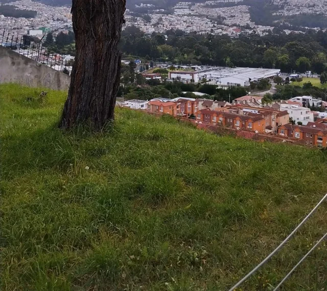 Terreno de Venta en Urbanizacion Caminos del Balcon — imagen 5