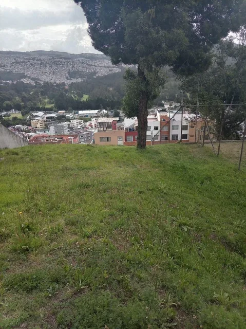 Terreno de Venta en Urbanizacion Caminos del Balcon — imagen 4