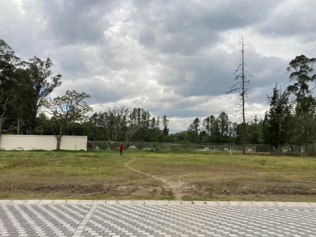 Terreno de Venta Ubicado Dentro de Urbanización Nueva en Puembo, Ideal Ubicación — imagen 5