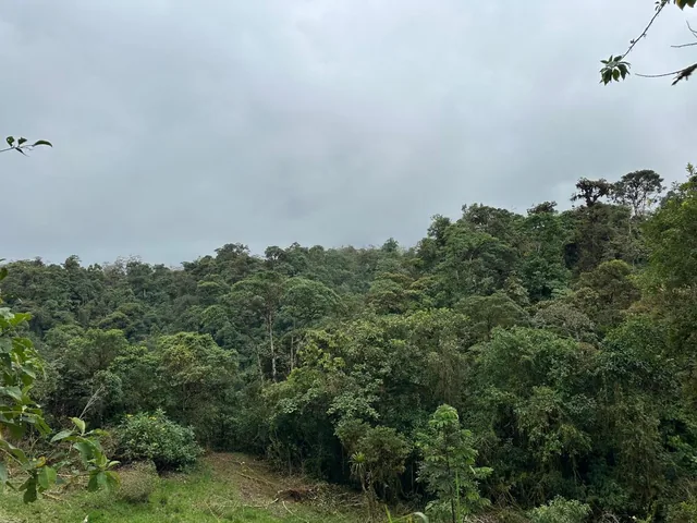 Propiedad de 5.5 Has en Mindo — imagen 2