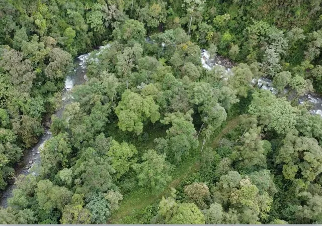 Vendo Terreno en Mindo de 1 Hectarea — imagen 4