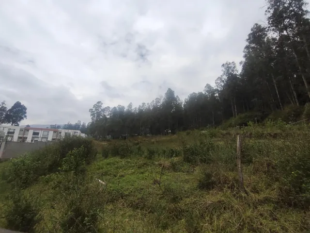 Terreno Esquinero en Venta de 2.841 m² en La Armenia — imagen 4