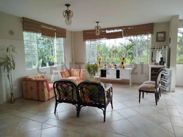 En Venta Terreno de 37.5 Hectáreas Km 14 Vía Los Bancos - Valle Hermoso — imagen 3