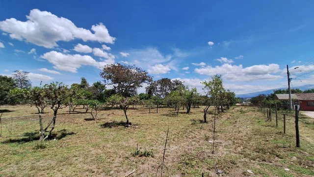 Terreno 12.200 m² Puembo - Tumbaco en Remate $550.000 Alta Plusvalía Inversión Segura Ya Hoy — imagen 4