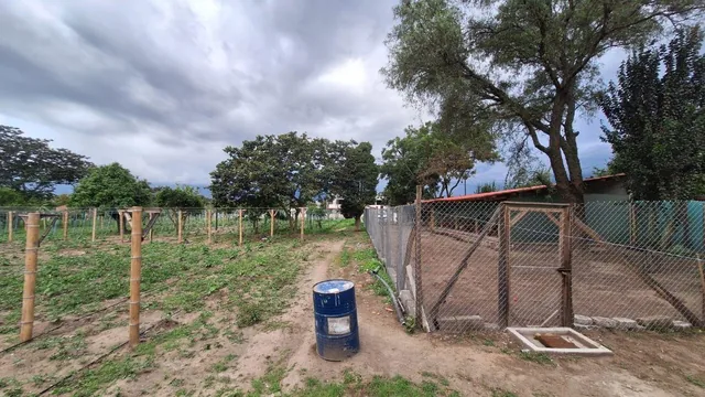 Terreno 12.200 m² Puembo - Tumbaco en Remate $550.000 Alta Plusvalía Inversión Segura Ya Hoy — imagen 2