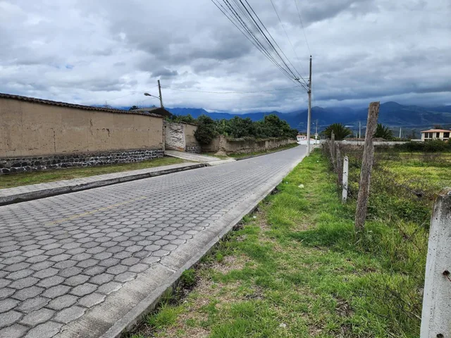 Vendo Terreno Plano 18.000 m en Chaltura Bellavista Imbabura, Imbabura — imagen 5