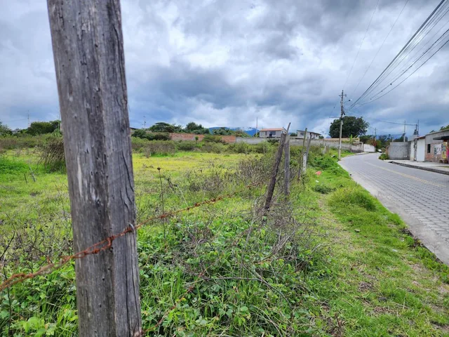 Vendo Terreno Plano 18.000 m en Chaltura Bellavista Imbabura, Imbabura — imagen 4