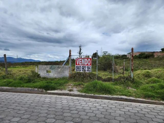 Vendo Terreno Plano 18.000 m en Chaltura Bellavista Imbabura, Imbabura — imagen 3
