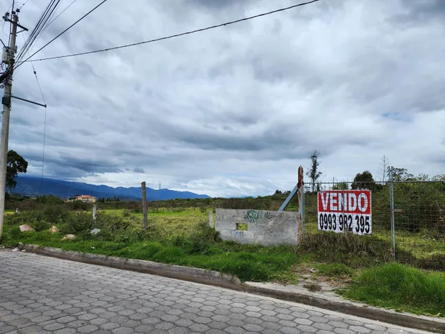 Vendo Terreno Plano 18.000 m en Chaltura Bellavista Imbabura, Imbabura — imagen 2