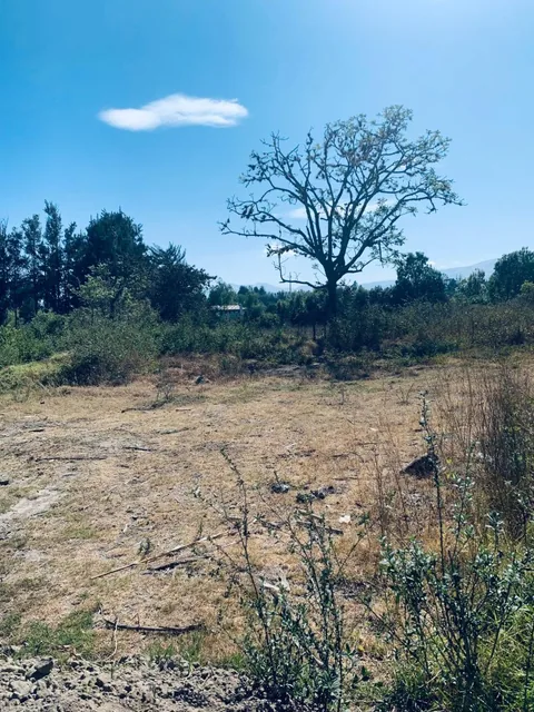 Venta Terreno Puembo 3300 m² Vía Arrayanes — imagen 4