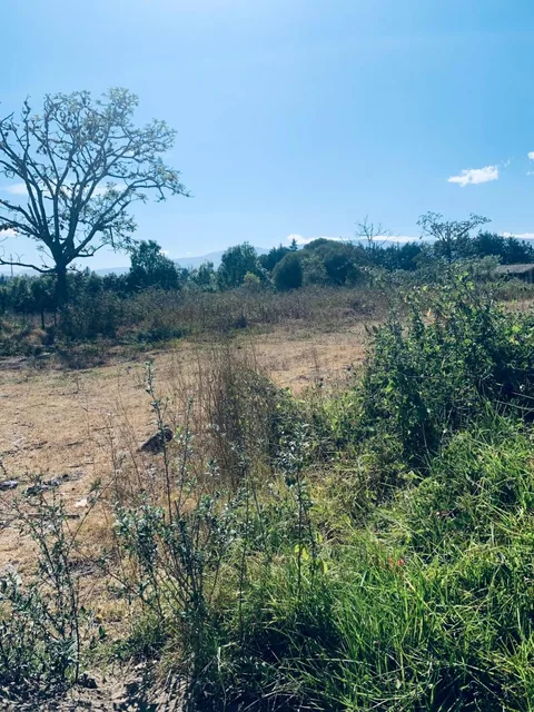 Venta Terreno Puembo 3300 m² Vía Arrayanes — imagen 3
