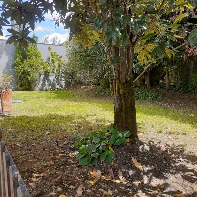 Vendo Casa Independiente en La Urbanización Miravalle 3 — imagen 4