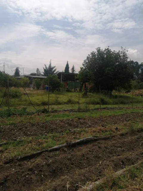 Inversionistas, Constructores, Tumbaco, Zona Central, Terreno Plano 6500 m², Papeles en Regla — imagen 3
