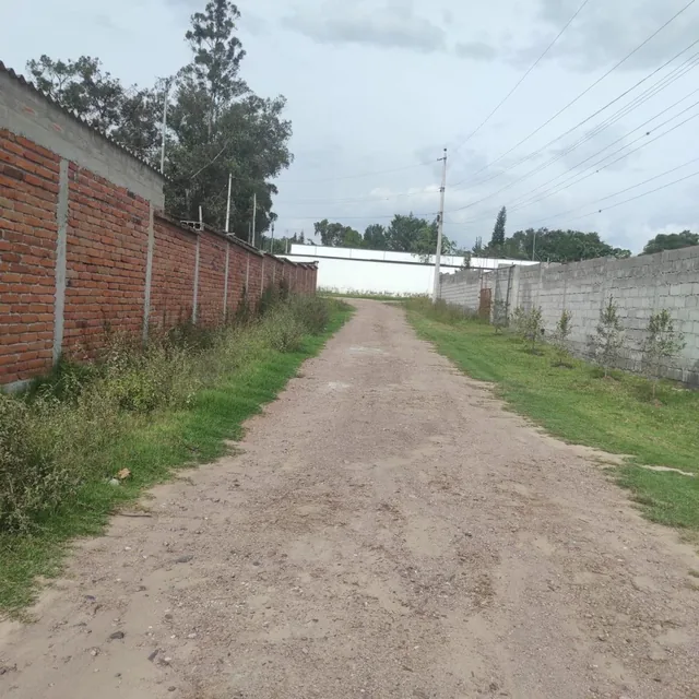 Inversionistas, Constructores, Tumbaco, Zona Central, Terreno Plano 6500 m², Papeles en Regla — imagen 2