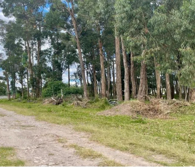 Terreno en Venta 5.000 m² Para Constructores, Inversionistas, Etc — imagen 4