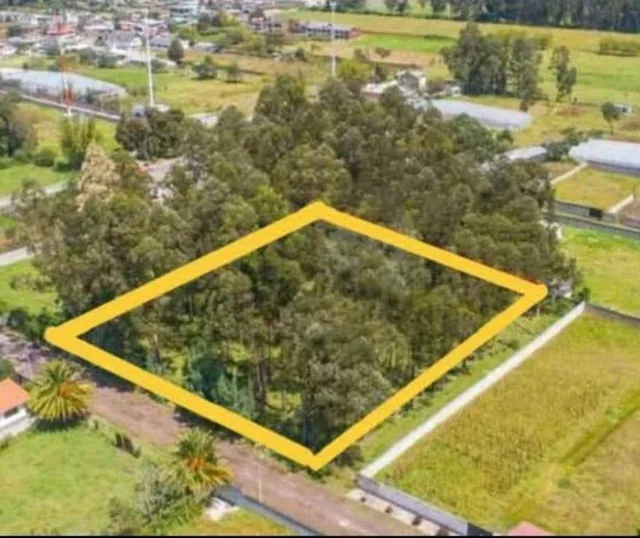 Terreno en Venta 5.000 m² Para Constructores, Inversionistas, Etc — imagen 2