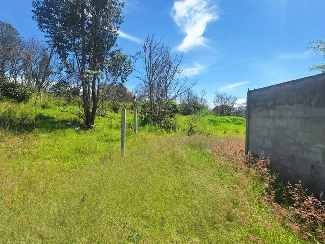 Venta Terreno en Nayon 8716 m² — imagen 2