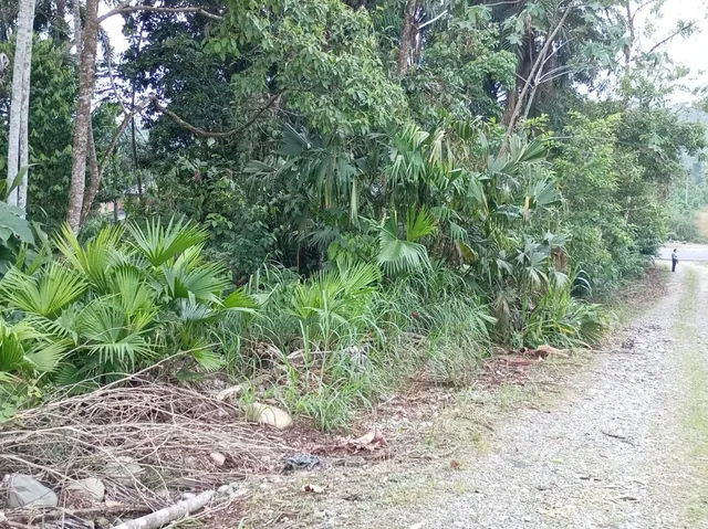 Terreno en Venta Sector Turístico Parroquia Pano - Tena, Napo — imagen 5