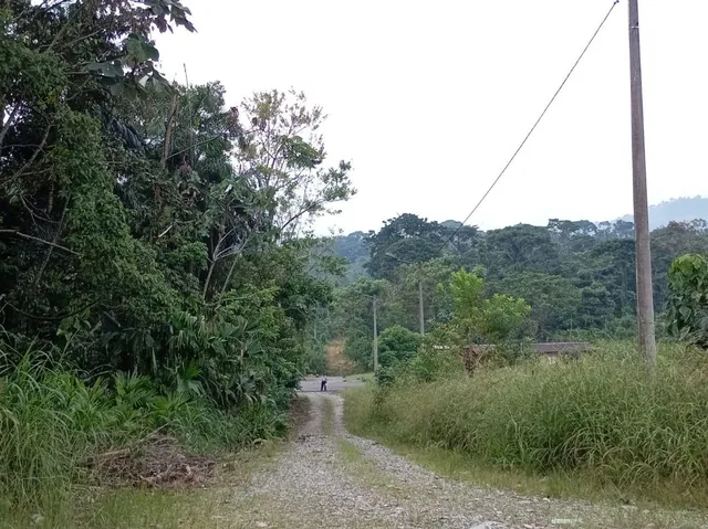 Terreno en Venta Sector Turístico Parroquia Pano - Tena, Napo — imagen 2