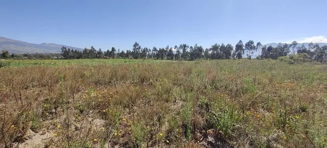 Terreno de Venta en Malchingui Sector Exclusivo /. Land For Sale in Malchingui Exclusive Sector — imagen 2