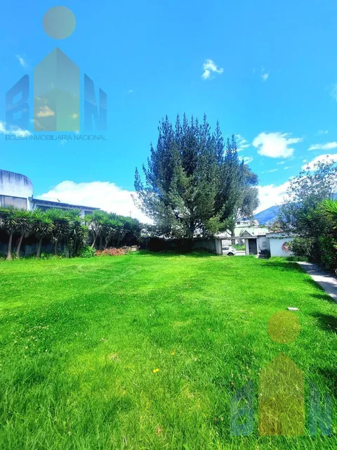 Vendo Casa Terreno 800 m 6 Pisos Monteserrin Academia Cotopaxi Se Acepta Canje — imagen 3