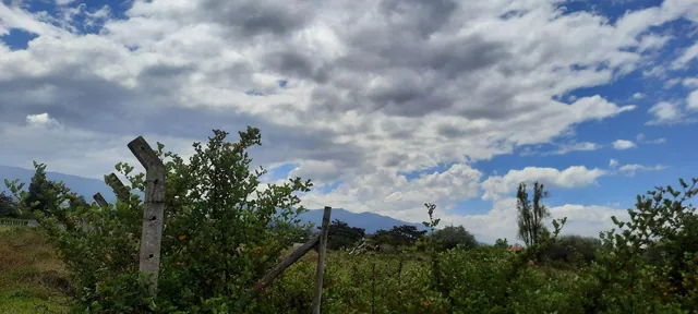 Vendo Lindo Terreno de 5480 m en Checa — imagen 4