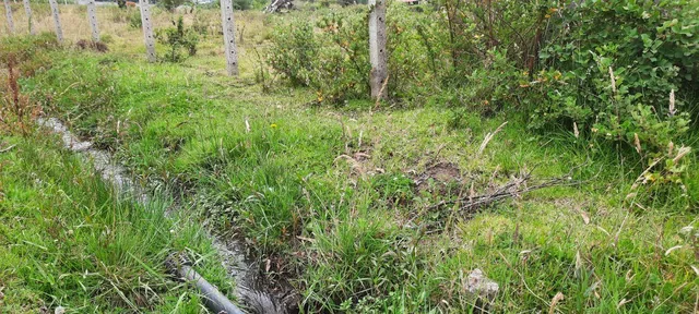 Vendo Lindo Terreno de 5480 m en Checa — imagen 3