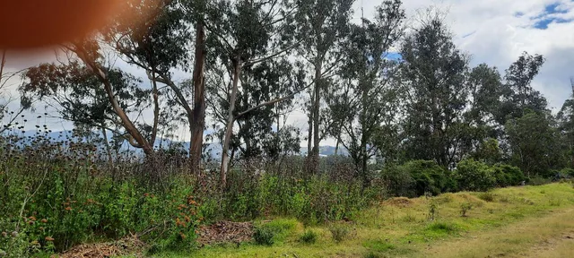Vendo Lindo Terreno de 5480 m en Checa — imagen 2