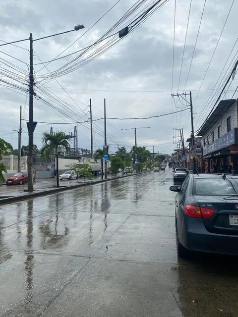 Terreno de 19500 m² en Venta en Mapasingue a Pocos m de La Via a Daule, Guayas — imagen 3