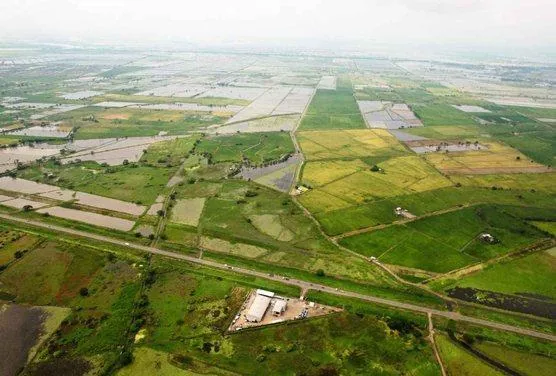 En Venta Terreno de 12.65 Hectáreas, Vía Al Pan - J. Zavala, Guayas — imagen 3