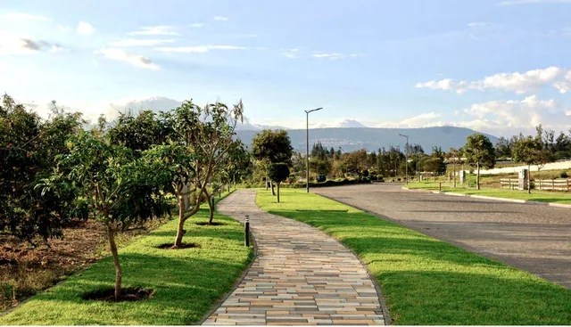 Puembo – Sector Arrayanes | Vendo Excelente Propiedad de 600 m² de Construcción en 4.800 m² de Terreno — imagen 2