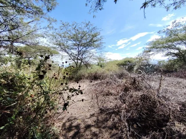 Vendo Terreno / Lote en Venta, Arrayanes, Urb. El Ingenio, Puembo — imagen 5