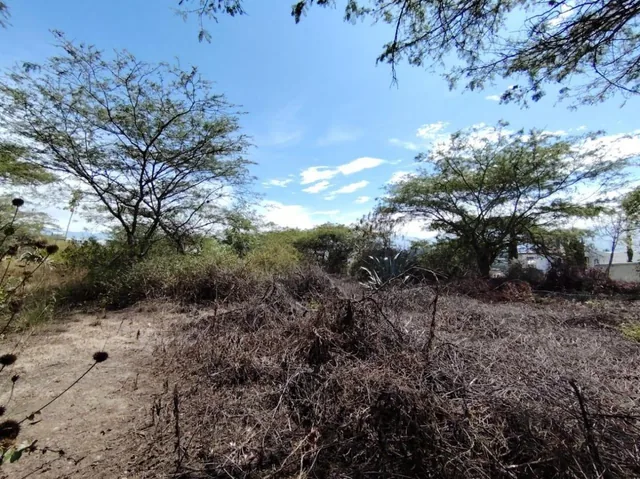 Vendo Terreno / Lote en Venta, Arrayanes, Urb. El Ingenio, Puembo — imagen 4