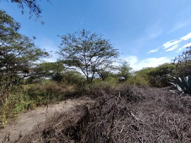 Vendo Terreno / Lote en Venta, Arrayanes, Urb. El Ingenio, Puembo — imagen 3