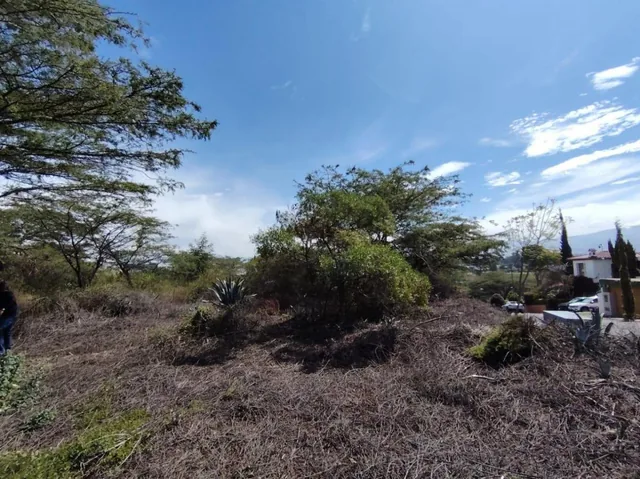 Vendo Terreno / Lote en Venta, Arrayanes, Urb. El Ingenio, Puembo — imagen 2