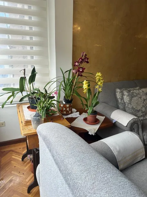 Se Vende Departamento Al Frente del Condado Shopping — imagen 2