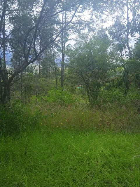 Hermoso Terreno en Urbanización de Lujo — imagen 3