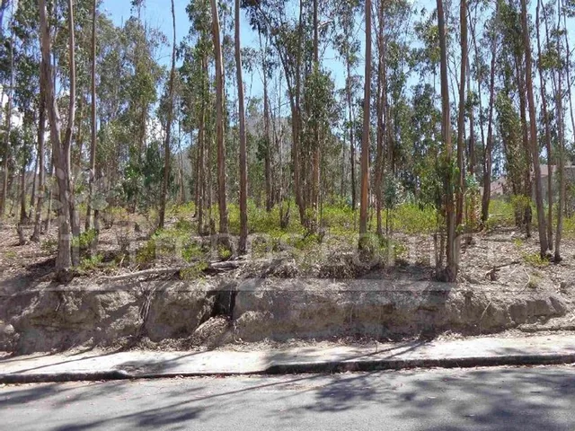 Terreno de Venta 490 m² Mitad del Mundo Urb. La Marca — imagen 5