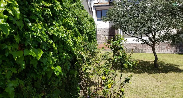 Venta Terreno Quito Tenis Amplio 487 m — imagen 2
