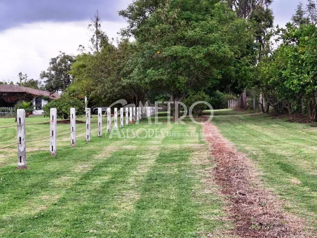 Terrenos de Venta 2.250 m² en Puembo — imagen 5