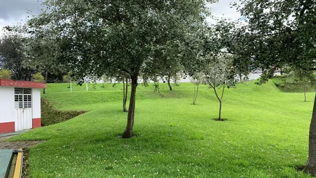 Terreno Cerca Plataforma Gubernamental del Sur — imagen 4