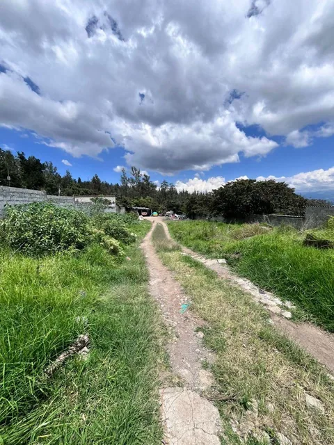 Terreno en Venta Tanda Nayón Para Proyecto Inmobiliario — imagen 4