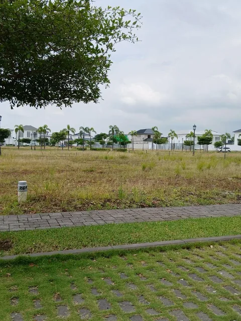 Aires del Norte Lindo Terreno Av Principal, Guayas — imagen 2