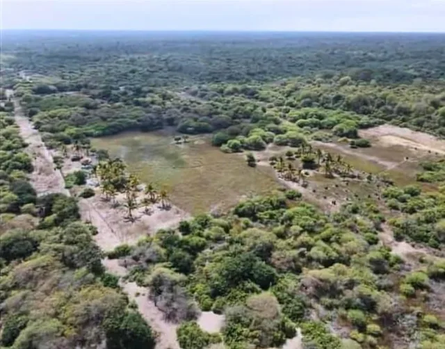 Se Vente Propiedad de 5.000 Has en La Isla Puná - en Venta, Guayas — imagen 5