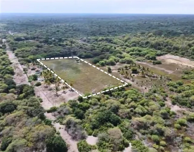 Se Vente Propiedad de 5.000 Has en La Isla Puná - en Venta, Guayas — imagen 3