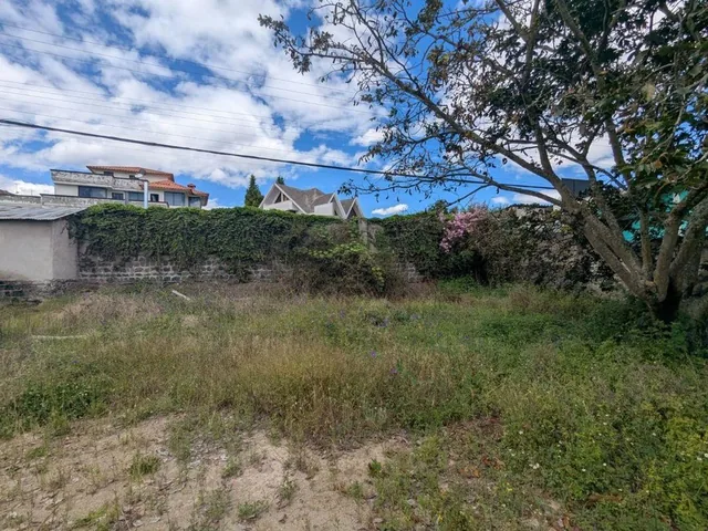 Venta Terreno / Alangasi Alta Plusvalia — imagen 4
