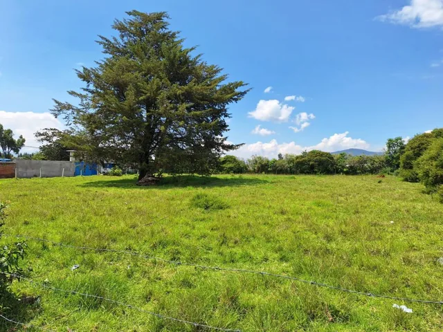Venta Dos Terrenos Pifo, Itulcachi, Plano, Esquinero 2150 m² — imagen 4