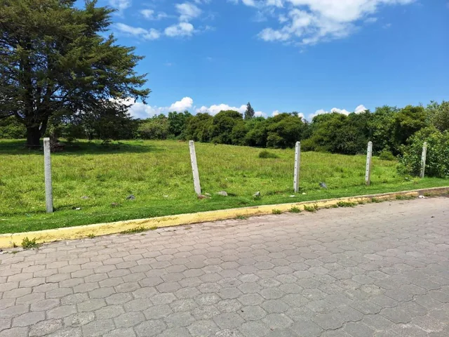 Venta Dos Terrenos Pifo, Itulcachi, Plano, Esquinero 2150 m² — imagen 2