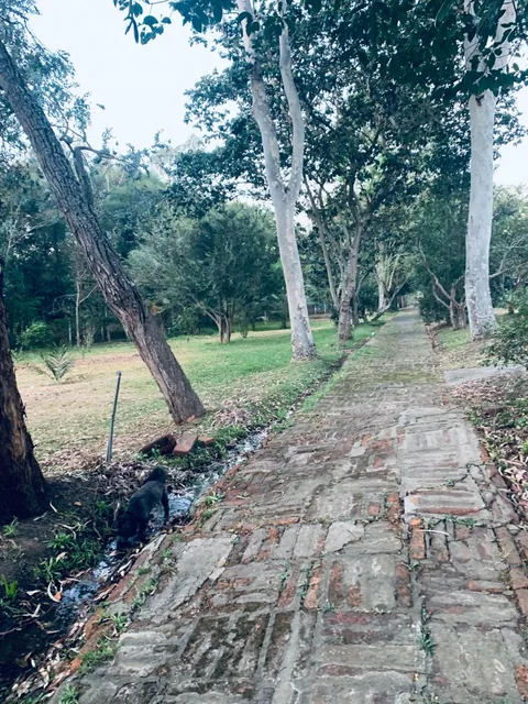 Venta Terreno Puembo 5000 m Sector Mangahuantag — imagen 5
