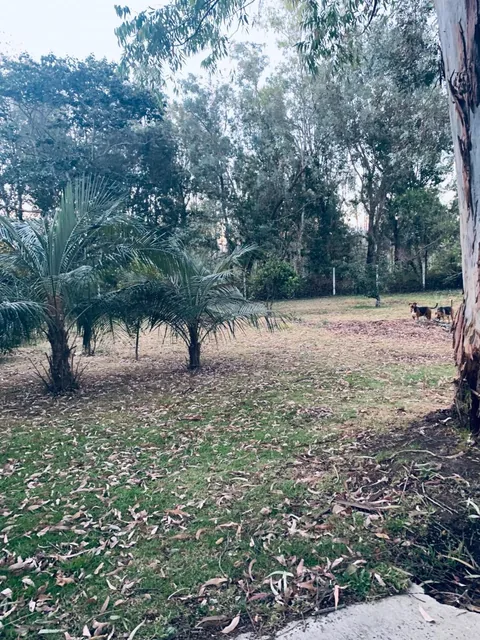 Venta Terreno Puembo 5000 m Sector Mangahuantag — imagen 4